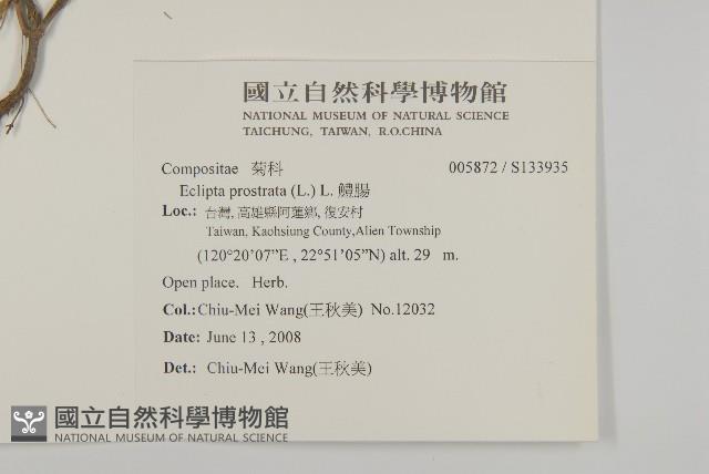 鱧腸藏品圖，第2張