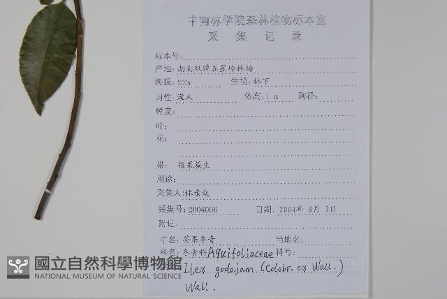 米碎木藏品圖，第2張