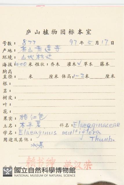 木半夏藏品圖，第2張