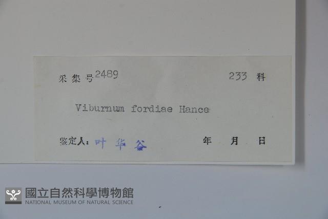 南方莢迷藏品圖，第2張