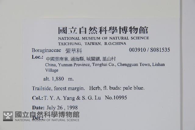 登錄號:S081535藏品圖，第2張