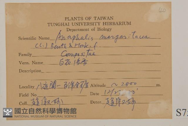 抱莖籟簫藏品圖，第2張