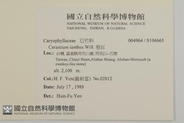 卷耳藏品圖，第2張