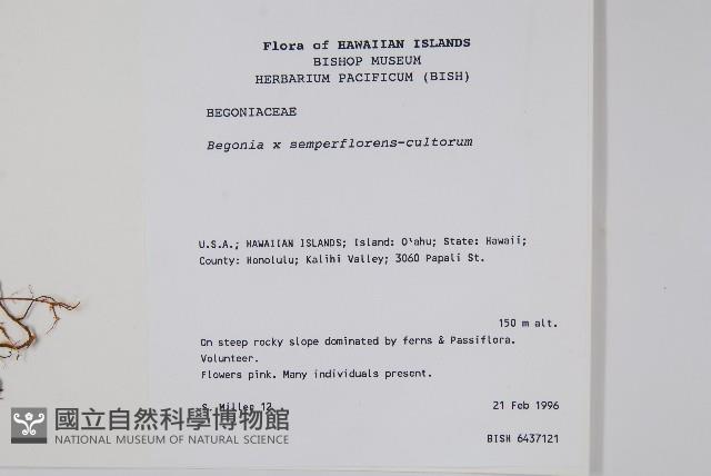 登錄號:S046665藏品圖，第2張