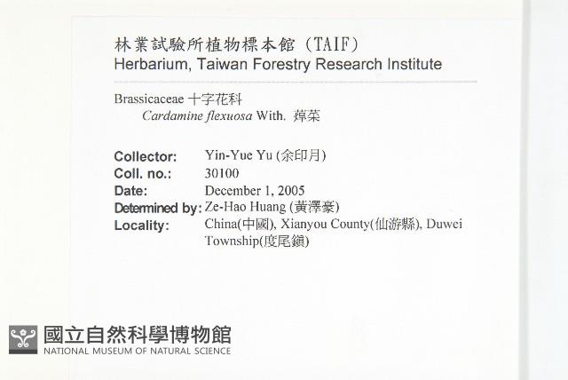 焊菜藏品圖，第2張