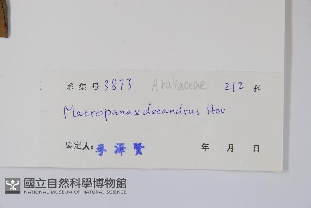 十蕊大參藏品圖，第2張