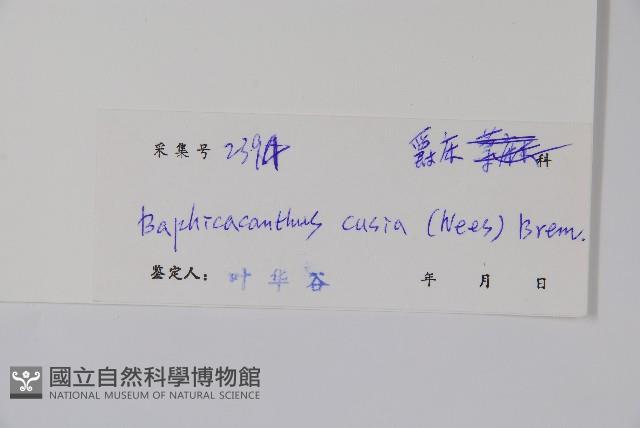 馬藍藏品圖，第2張