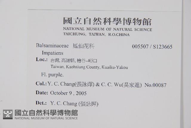 登錄號:S123665藏品圖，第2張