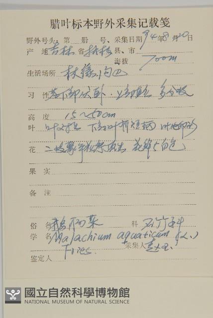 牛繁縷藏品圖，第2張