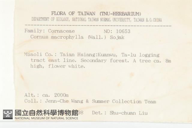 梜木藏品圖，第2張