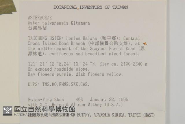 臺灣馬蘭藏品圖，第2張