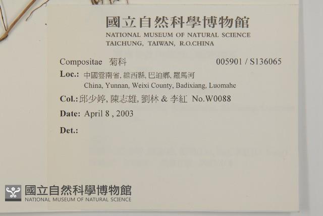 登錄號:S136065藏品圖，第2張