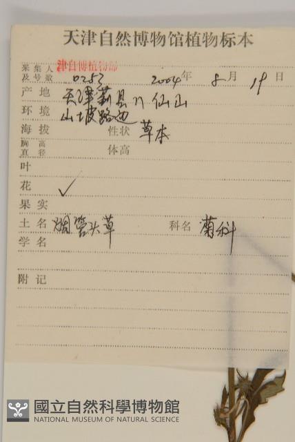 杓兒菜藏品圖，第2張