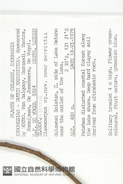 登錄號:S047065藏品圖，第2張