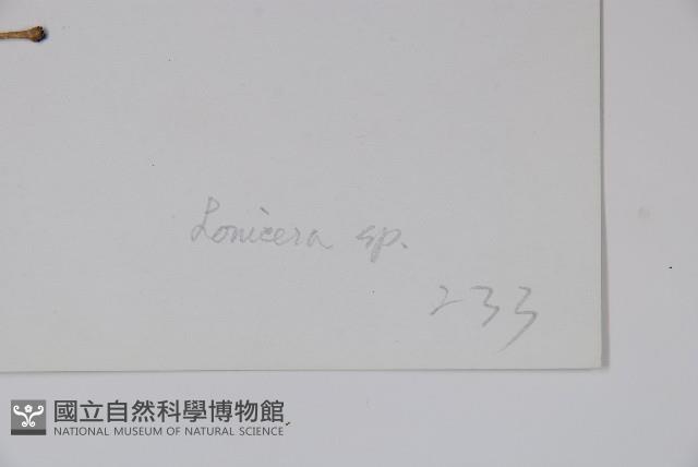 登錄號:S022765藏品圖，第2張