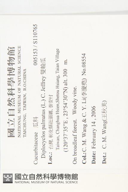 雙輪瓜藏品圖，第2張