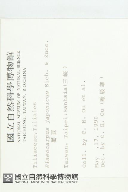 薯豆藏品圖，第2張