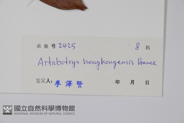 香港鷹爪花藏品圖，第2張