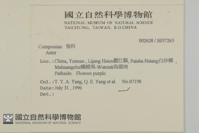 登錄號:S037265藏品圖，第2張