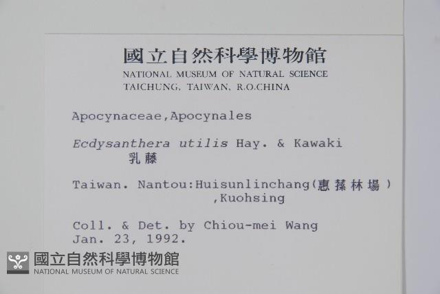 乳藤藏品圖，第2張