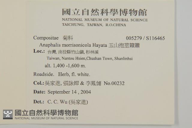 玉山抱莖籟簫藏品圖，第2張