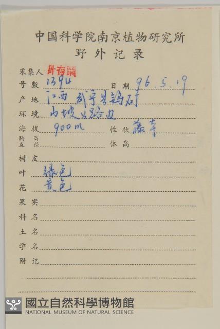 過山楓藏品圖，第2張