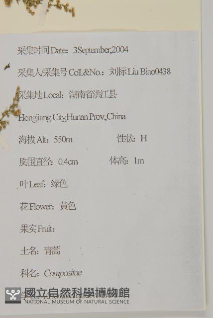 青蒿藏品圖，第2張