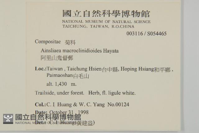 阿里山鬼督郵藏品圖，第2張