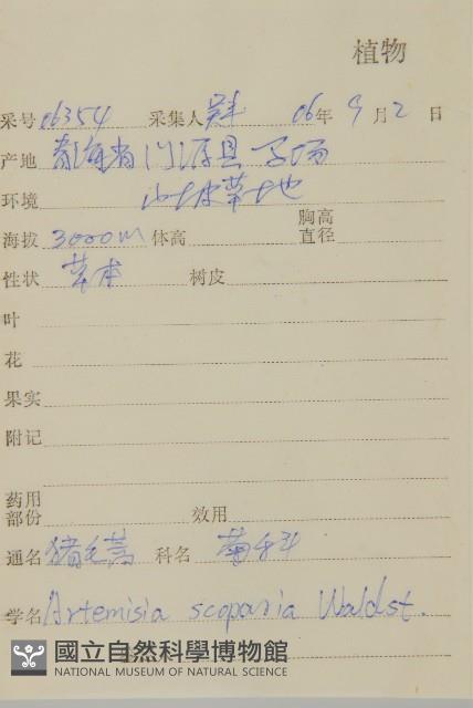 黃蒿藏品圖，第2張