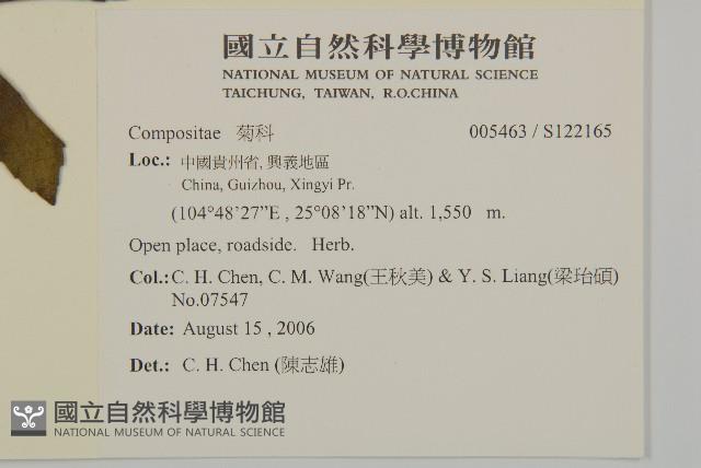 登錄號:S122165藏品圖，第2張