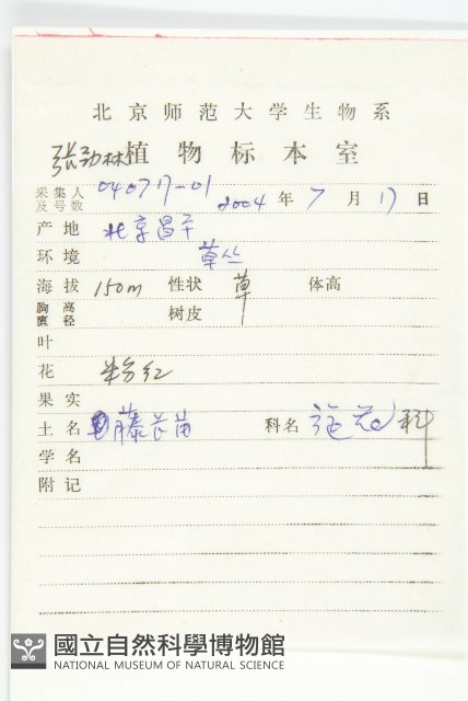 藤長苗藏品圖，第2張
