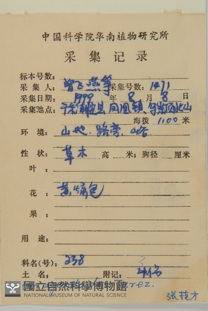 山白蘭藏品圖，第2張