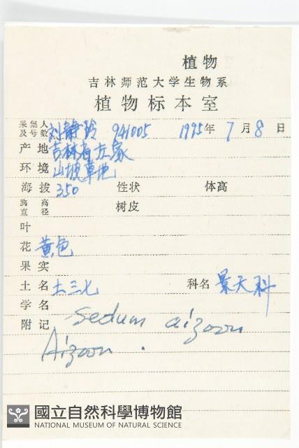 費菜藏品圖，第2張