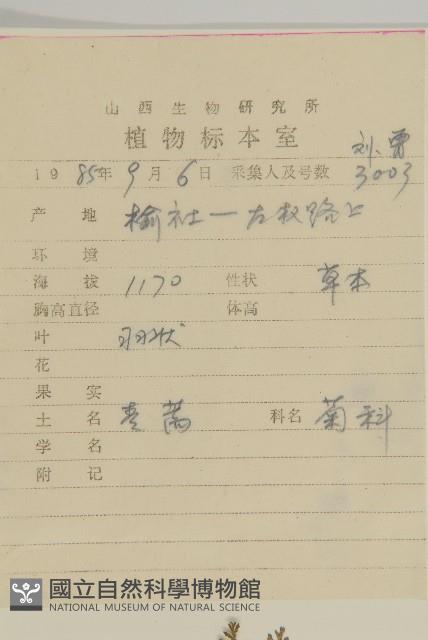 蒿子藏品圖，第2張