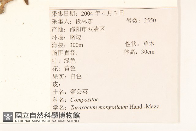 蒲公英藏品圖，第2張