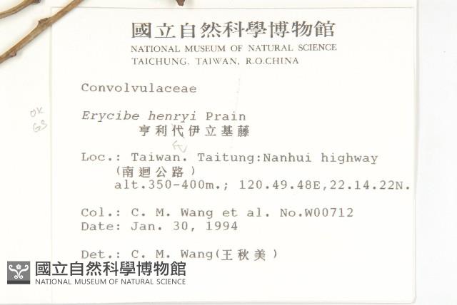 亨利氏伊立基藤藏品圖，第2張