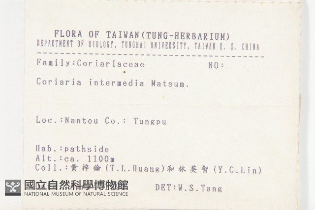 臺灣馬桑藏品圖，第2張