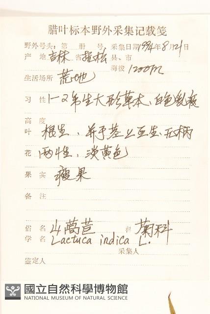 鵝仔草藏品圖，第2張