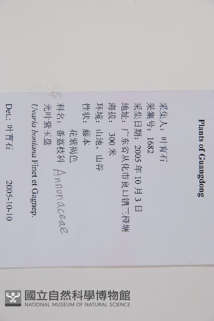 光葉紫玉盤藏品圖，第2張