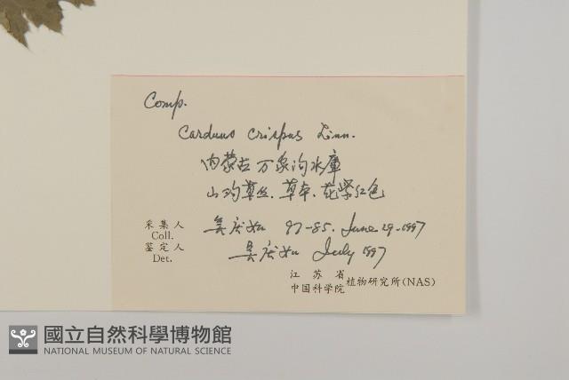 飛廉藏品圖，第2張