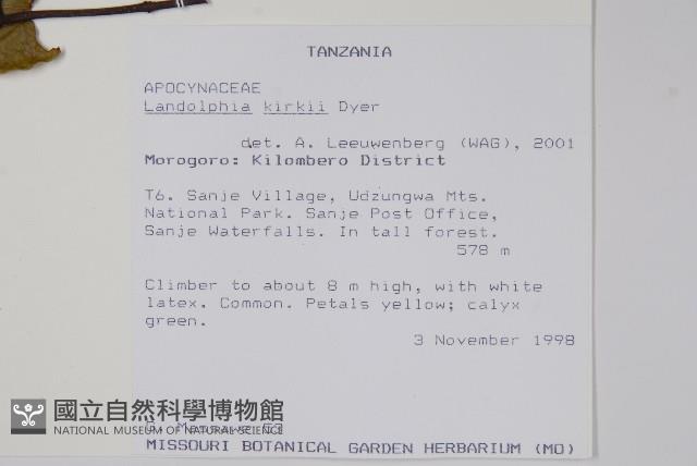 卷枝藤藏品圖，第2張