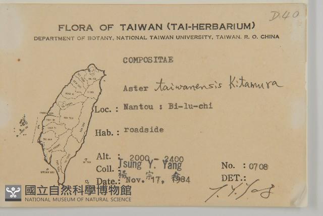 臺灣馬蘭藏品圖，第2張