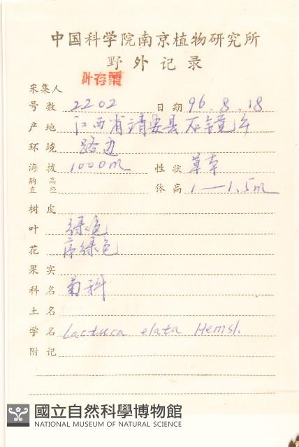 高苞苣藏品圖，第2張