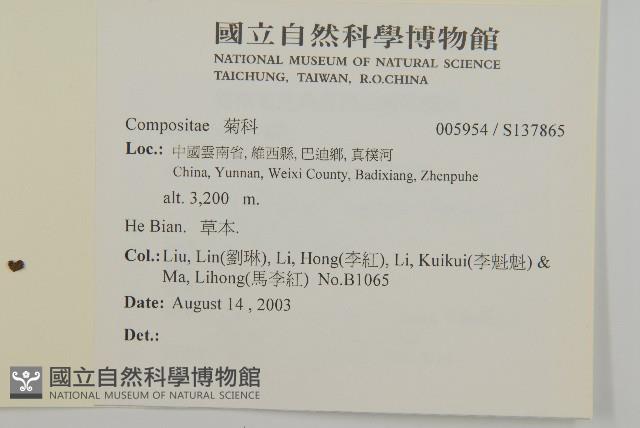 登錄號:S137865藏品圖，第2張