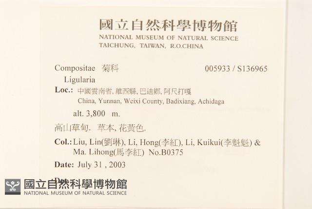 登錄號:S136965藏品圖，第2張