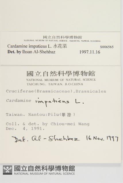 Accession Number:S006565 Collection Image, Figure 2, Total 2 Figures