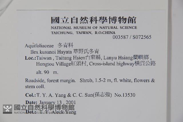 草野氏冬青藏品圖，第2張