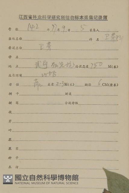 衛矛藏品圖，第2張