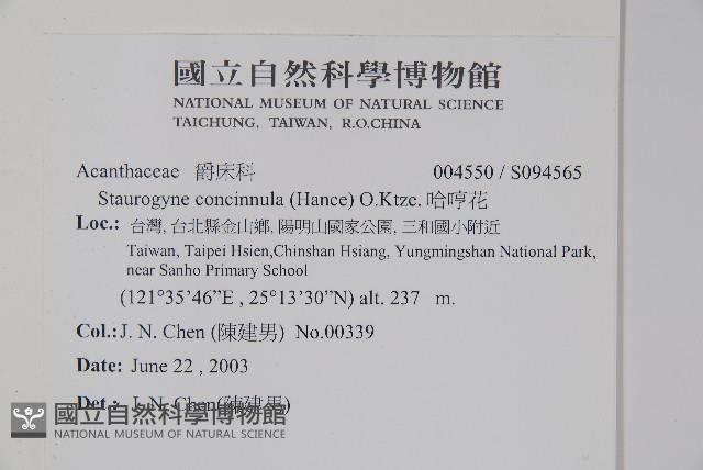 哈哼花藏品圖，第2張