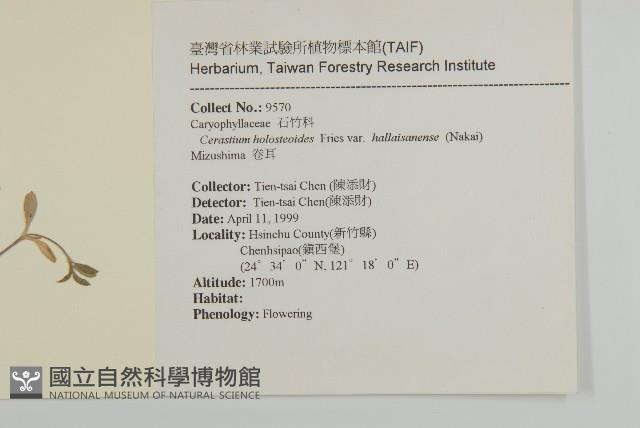 Accession Number:S062645 Collection Image, Figure 2, Total 2 Figures